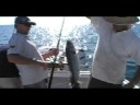 Great Barrier Island Fishing Charters on the Riviera