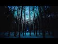 deadmau5 - Strobe (2Night remix)