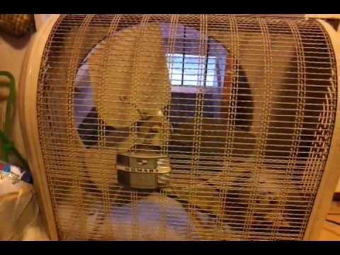 how to use window fans for home cooling