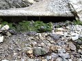 Periodic Spring near Afton, Wyoming, USA