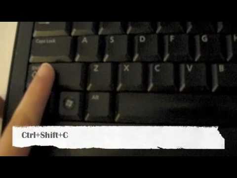 how to get more money on sims 3