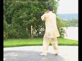 suite de la d�monstration de la forme originelle de taiji zhang san feng par ma�tre liang chao qun, disciple de ma�tre wan laisheng. association wan laisheng.