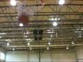 Hoopin 
