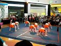 Charm Cheerleading Championship (C3) 2008 - D stars
