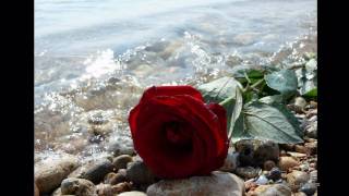 Серия Фотографий (1)