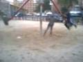 videos de dani