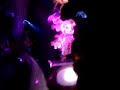 emilie-autumn-shalott-live-islington-academy-190408.html