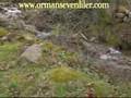 Karadeniz U�AKLARI