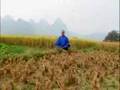 Rafi Anteby Meditation to Chinese Flute