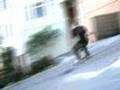 Freebord