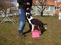 Bakdelskontroll 1 Bakdelskontroll 1