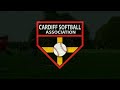 Pirates Fly out to Pitcher