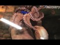 3 Questions: Octopi