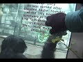 bonobos-travelling.html