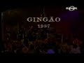 Peste e Sida - Gingão