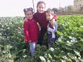 Rachid@net