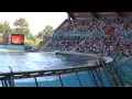 Orcashow Marineland Antibes (31.08.09) part 1