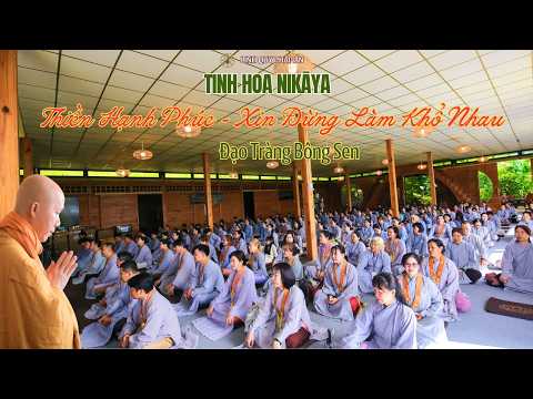 Tinh Hoa NIKAYA - Thiền Hạnh Phúc - Xin Đừng Làm Khổ Nhau - Đạo Tràng Hội Bông Sen