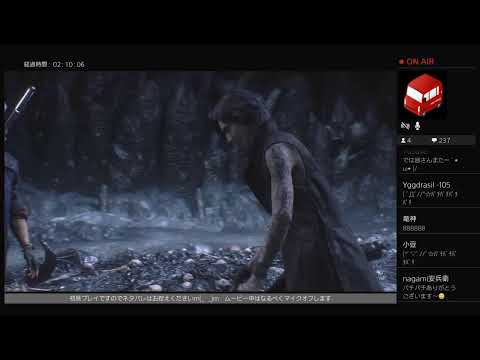 動画