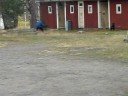 LT Helmi seinä LT Helmi seinä