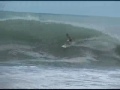 Aguadilla Gold