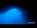 JAPAN MIYAKO DIVING(通り池　ダイビング）