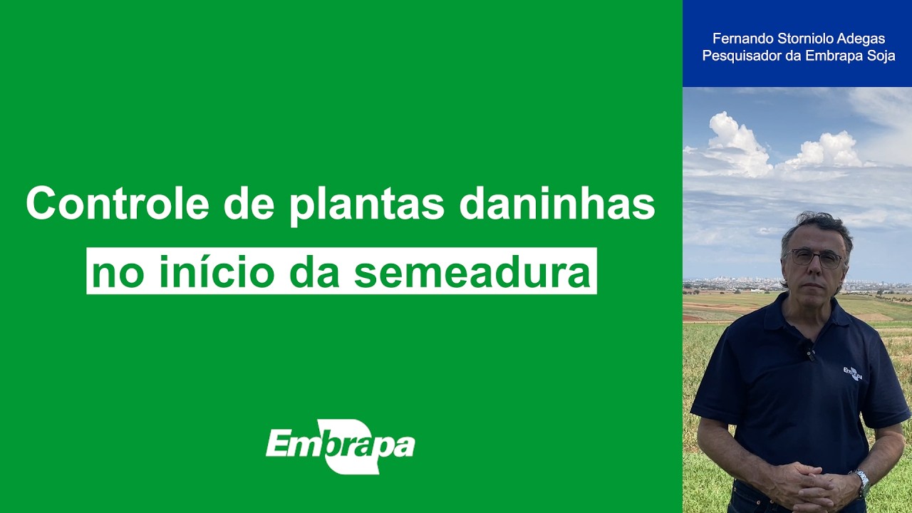 Controle de plantas daninhas no início da semeadura