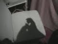 Manos Traviesas Manos Traviesas