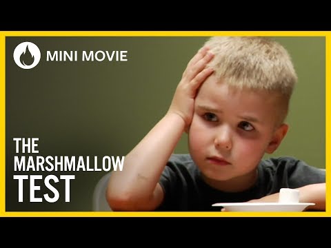 Marshmallow teszt