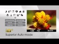 α37 from Sony: Official Video Release