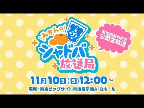 動画