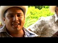 Julion Alvarez - Corazon Magico