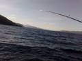 videos de truchas en nahuel huapi mariano.mp4