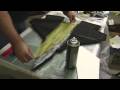 Part 2A - EPP Park Jet (Scratch Built RC Plane)