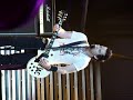david cook hello san jose july 8 david cook hello san jose july 8