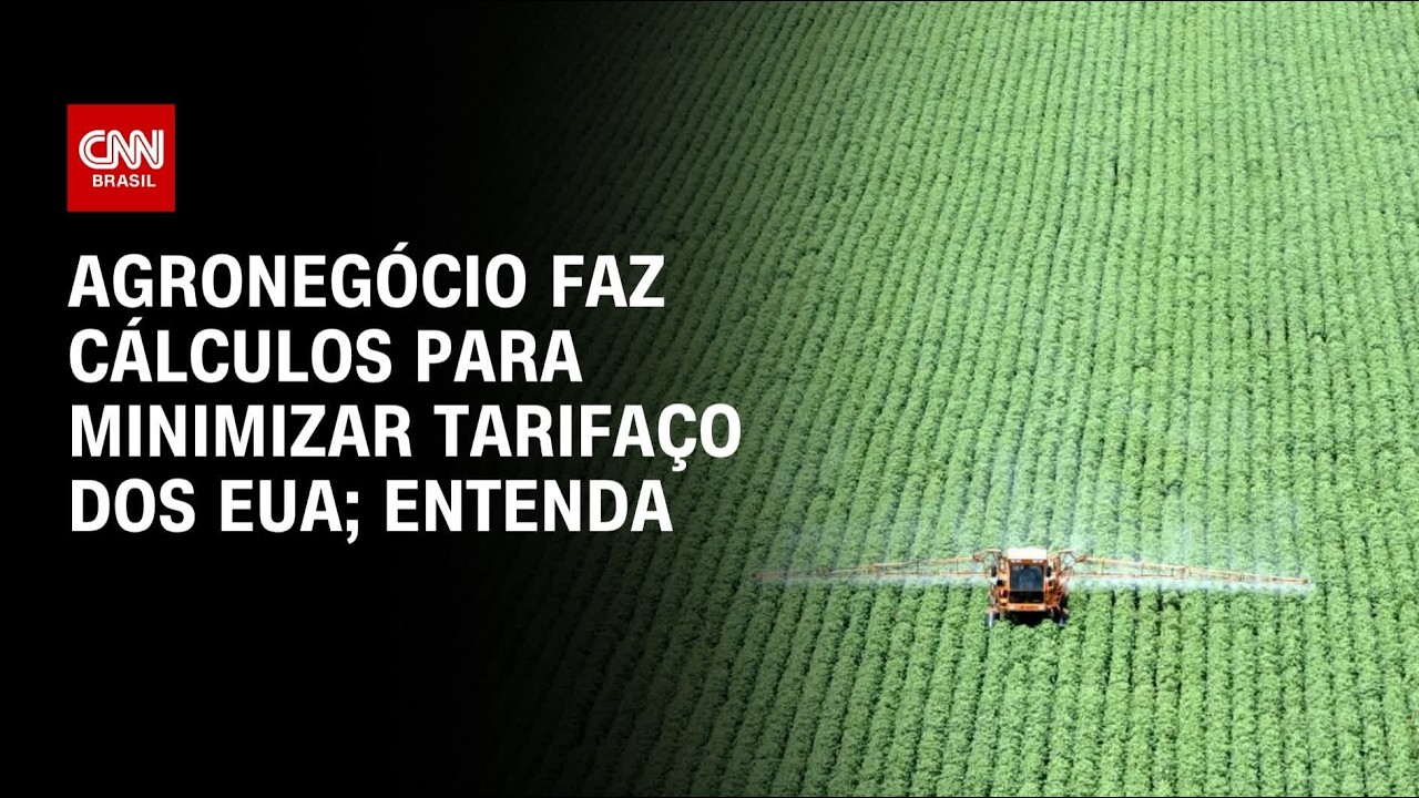 Agronegócio calcula perdas com tarifaço dos EUA e busca alternativas | CNN 360º