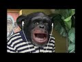 Monkeyman: youPrez