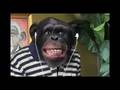 Monkeyman: youPrez