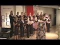 Visa Vid Vindens Angar - Chicago Nordic Choir