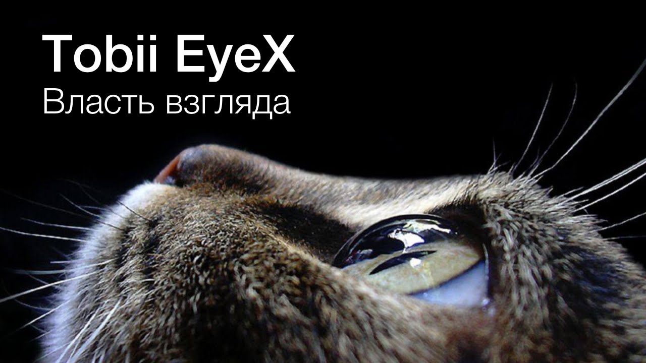 Tobii EyeX: власть взгляда. Фото.