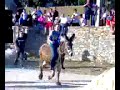 Corrida de Burros!