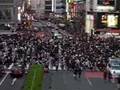 Saturday afternoon at Shibuya Crossing, Tokyo View Video