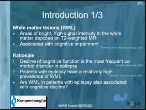 White matter lesions in patients with localization-related epilepsy