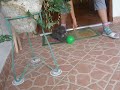 peluchin chi chin peluchin chi chin