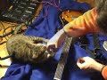 My Cat\