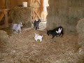 Grace & friends.MOV
