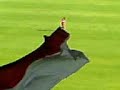 Elferschie�en RWE:Cottbus, DFB Pokal 1.Runde 2007