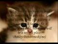 Stop Animal Abuse!!