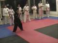 Jeff Speakman Kenpo 5.0 Allende,Coah.Mex.Sergio y David.wmv