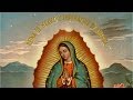 Guadalupe - Żywy Obraz I Tv Trwam Guadalupe - Żywy Obraz I Tv Trwam